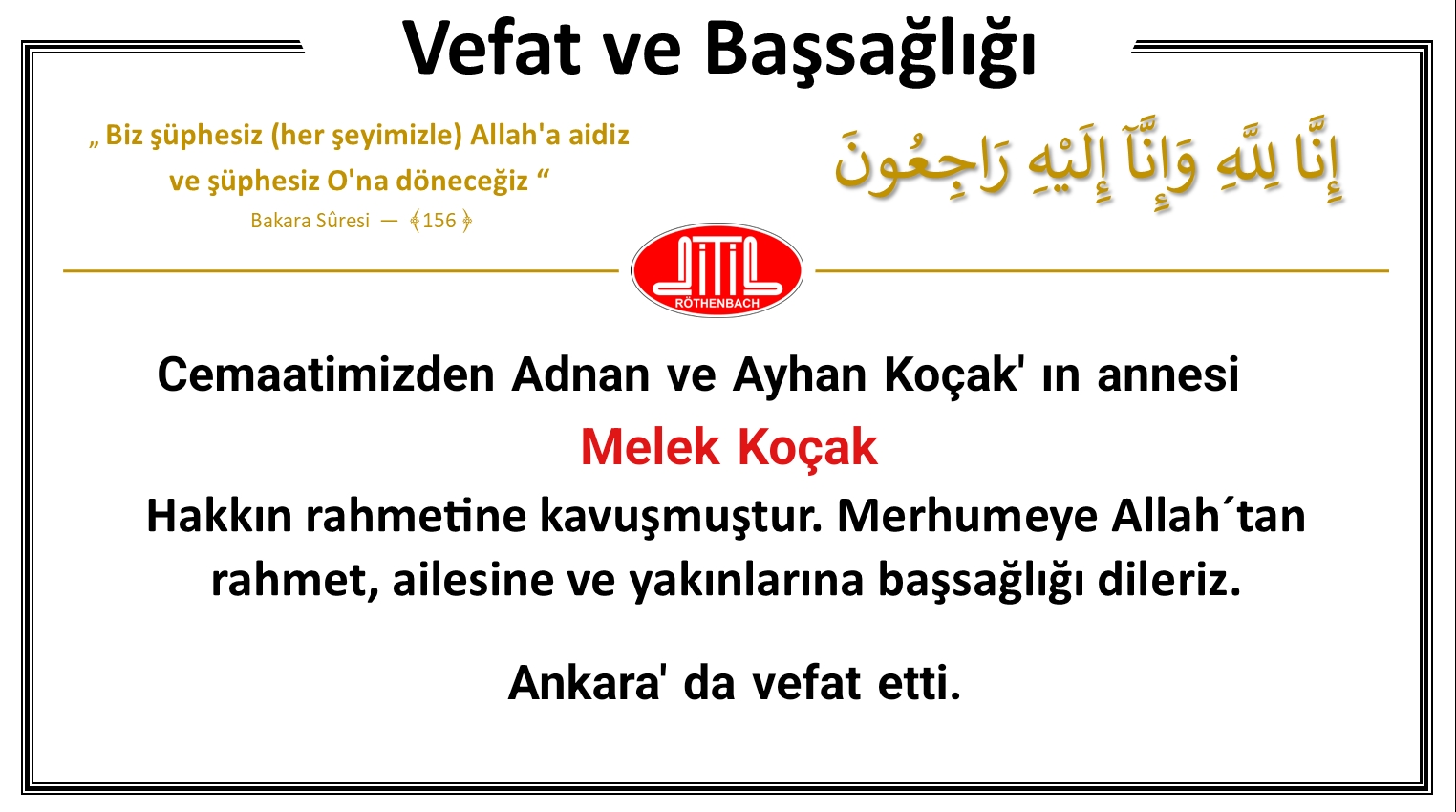 melek kocak